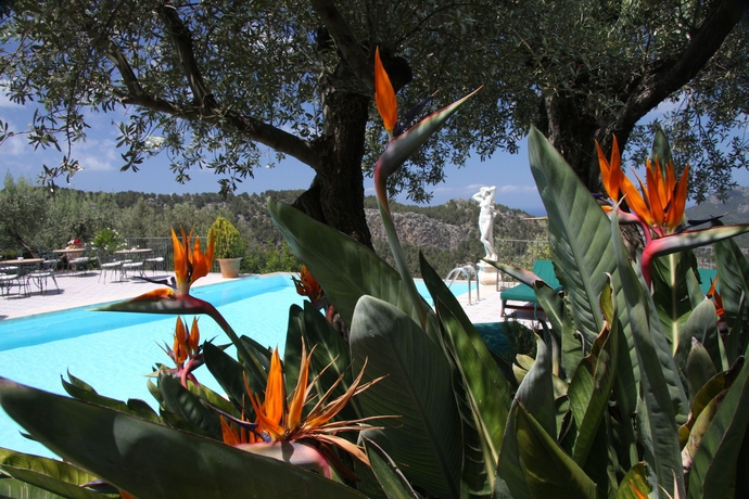 Imagen de la piscina del Finca Rústica Ca's Xorc - A Country Hideaway - Adults Only. Foto 16