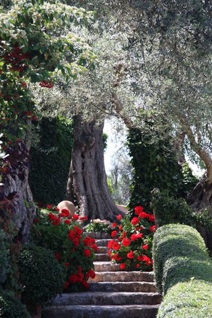 Imagen de los exteriores del Finca Rústica Ca's Xorc - A Country Hideaway - Adults Only. Foto 15
