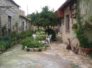 Imagen general del Finca Rústica Casa Degli Aranci. Foto 2