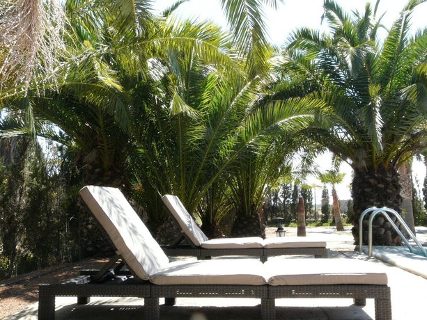 Imagen de la piscina del Finca Rústica Finca Es Palmer. Foto 12