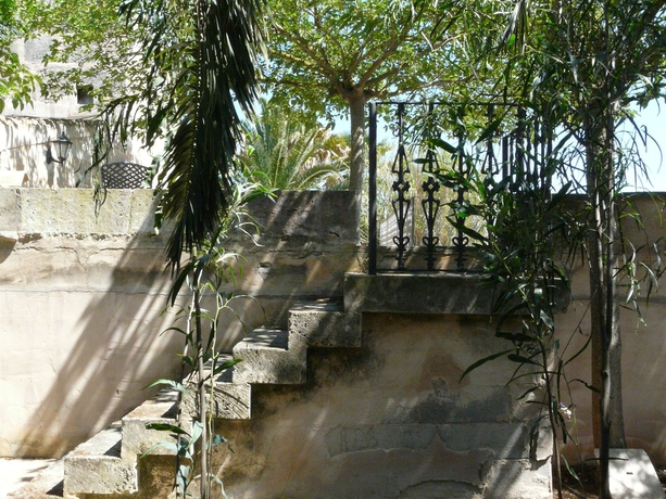 Imagen general del Finca Rústica Finca Es Palmer. Foto 2