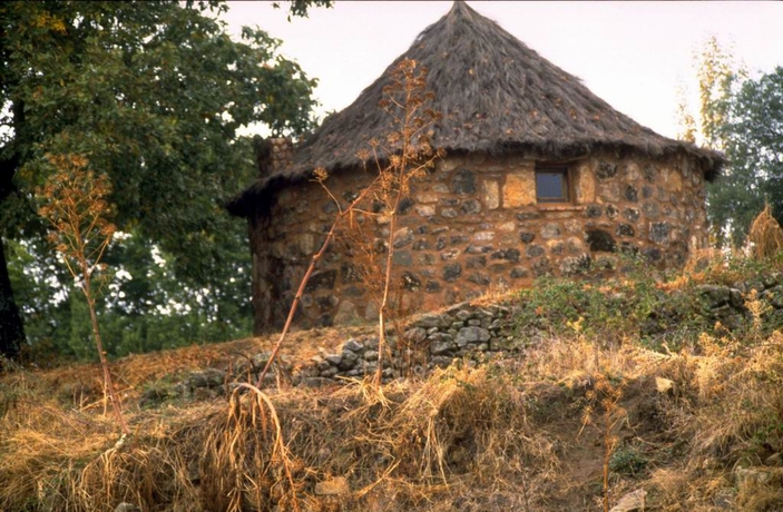 Imagen general del Finca Rústica Finca La Granja De Yuste. Foto 7