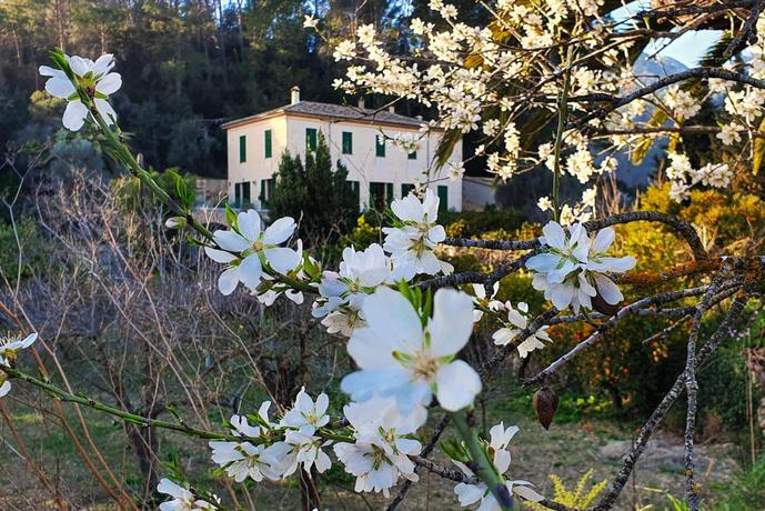 Imagen de los exteriores del Finca Rústica Finca Sa M&agrave;niga. Foto 7