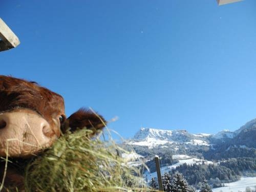 Imagen general del Finca Rústica Hof Filzen. Foto 4