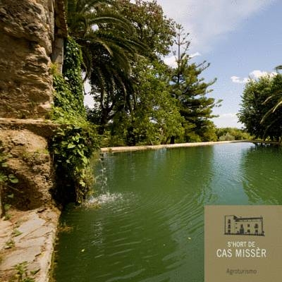 Imagen general del Finca Rústica Hort de Cas Misser. Foto 11