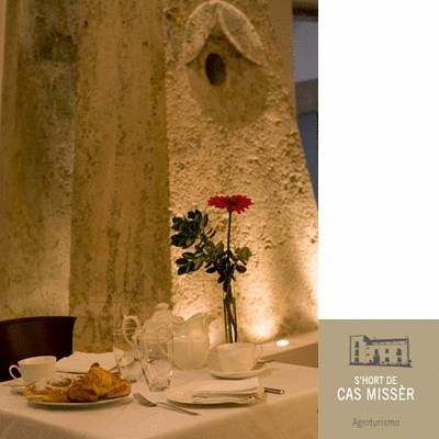 Imagen general del Finca Rústica Hort de Cas Misser. Foto 13