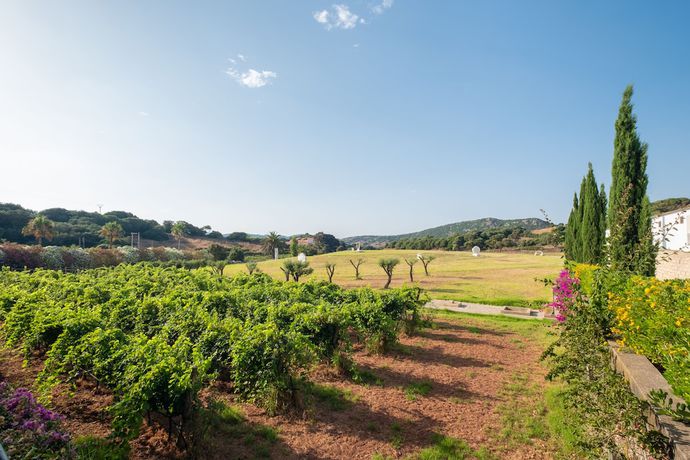 Imagen de los interiores del Finca Rústica Hotel Rural Sant Patrici. Foto 16