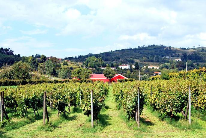 Imagen de los exteriores del Finca Rústica Lavandeira Douro Nature and Wellness. Foto 6