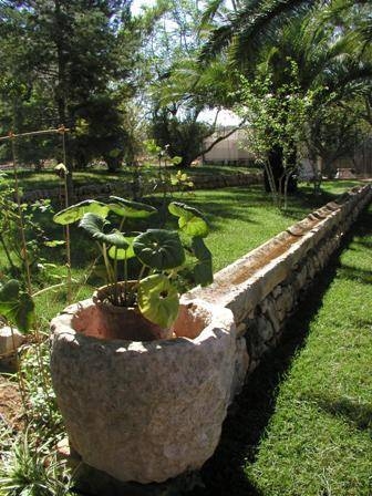 Imagen general del Finca Rústica Masseria Il Frantoio. Foto 4