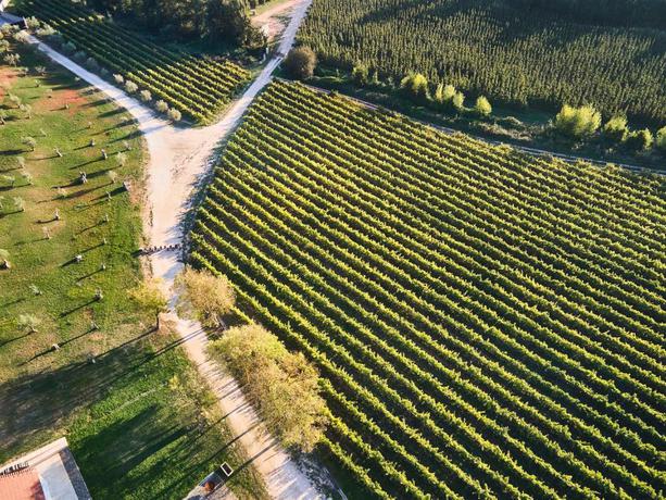 Imagen general del Finca Rústica Romana Vini Hotel | Quinta Do Porto Nogueira. Foto 5