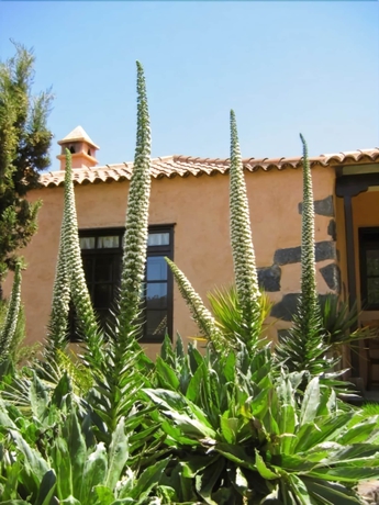 Imagen de los exteriores del Finca Rústica Rural Las Llanadas. Foto 11