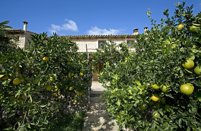 Imagen de los exteriores del Finca Rústica Ses Illes. Foto 10
