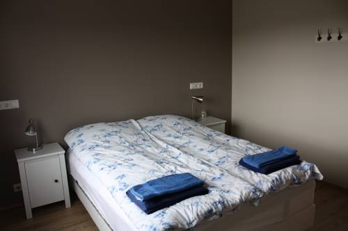 Imagen de la habitación del Finca Rústica Skútustadir Guesthouse. Foto 10