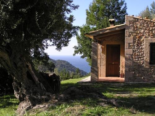 Imagen de los interiores del Finca Rústica S'olivar. Foto 14