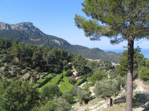 Imagen general del Finca Rústica S'olivar. Foto 4