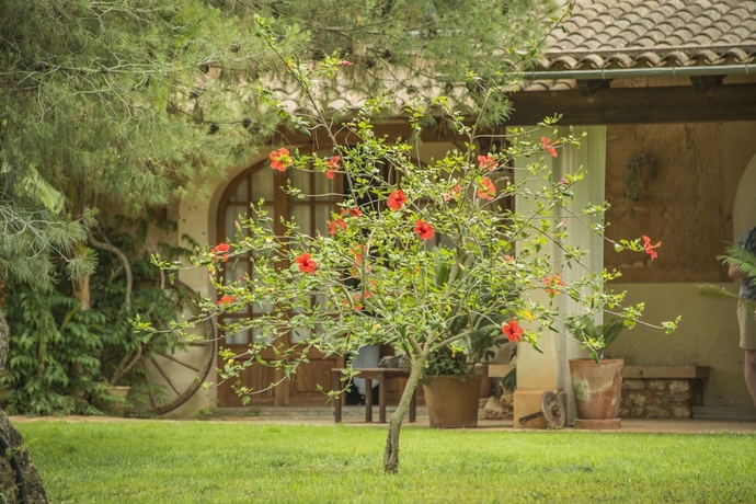 Imagen de los interiores del Finca Rústica Son Mercadal. Foto 19