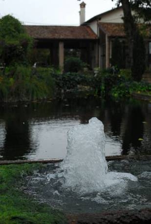 Imagen general del Finca Rústica Venicegreen Agriresort. Foto 3