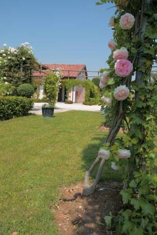 Imagen general del Finca Rústica Venicegreen Agriresort. Foto 12