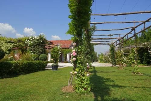 Imagen general del Finca Rústica Venicegreen Agriresort. Foto 14