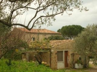 Imagen general del Finca Rústica Villa Nicetta. Foto 5