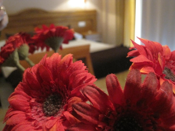 Imagen de la habitación del Hostal ARBA. Foto 6