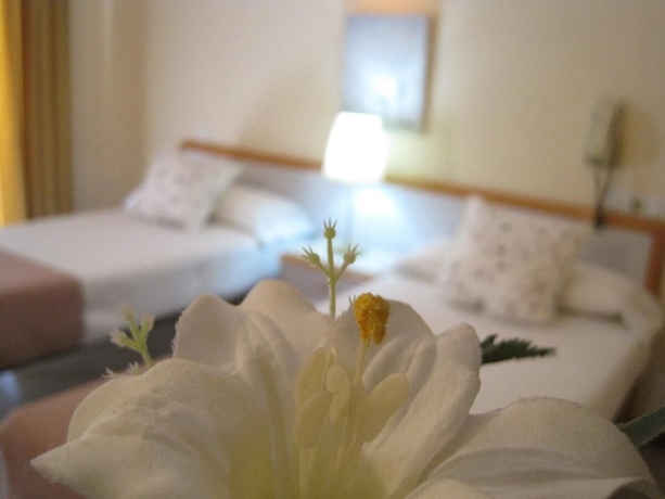 Imagen de la habitación del Hostal ARBA. Foto 18