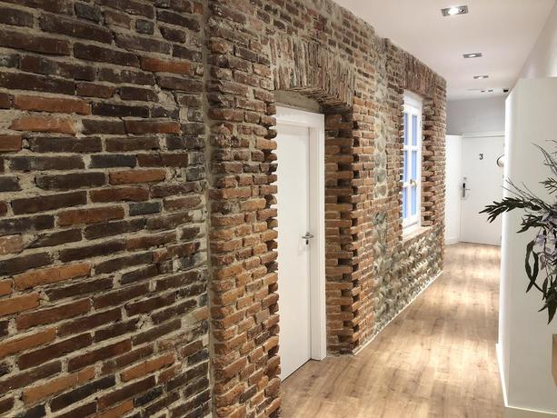 Imagen de los interiores del Hostal Albany Ancha. Foto 16