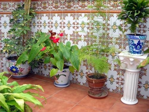 Imagen general del Hostal Andalucia, Nerja. Foto 12