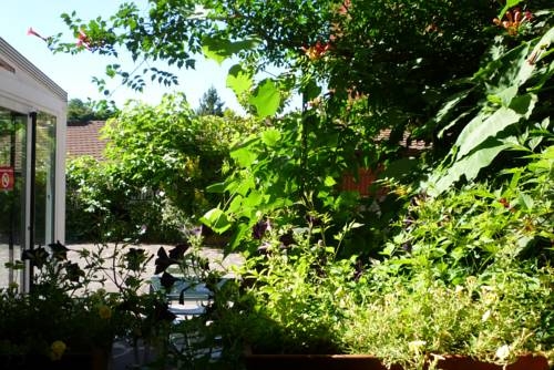 Imagen general del Hostal Ansonea. Foto 3