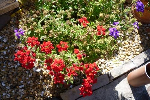 Imagen general del Hostal Ansonea. Foto 4