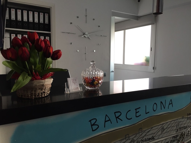 Imagen de los interiores del Hostal Apolo, Sants-Montjuic. Foto 15