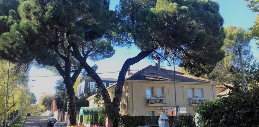 Imagen de los exteriores del Hostal Aravaca Garden. Foto 13