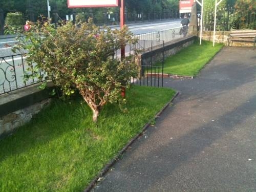 Imagen general del Hostal Ashgrove House. Foto 3