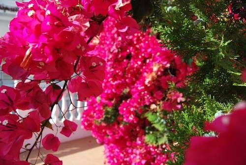 Imagen general del Hostal Avenida, Chipiona. Foto 2