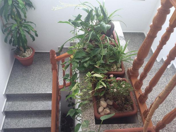 Imagen general del Hostal Bajio. Foto 3