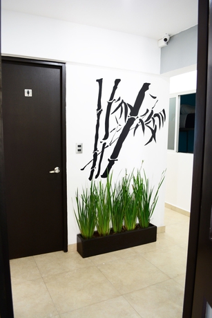 Imagen de los interiores del Hostal Be Condesa. Foto 17
