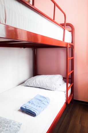 Imagen de la habitación del Hostal Beary Best! Hostel. Foto 7