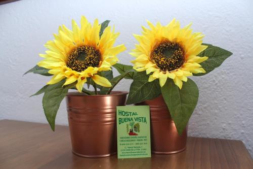 Imagen general del Hostal Buena Vista, Vejer de la Frontera . Foto 4