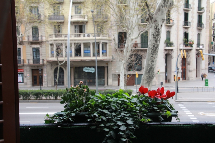 Imagen de los exteriores del Hostal Buho Boutique Barcelona. Foto 15