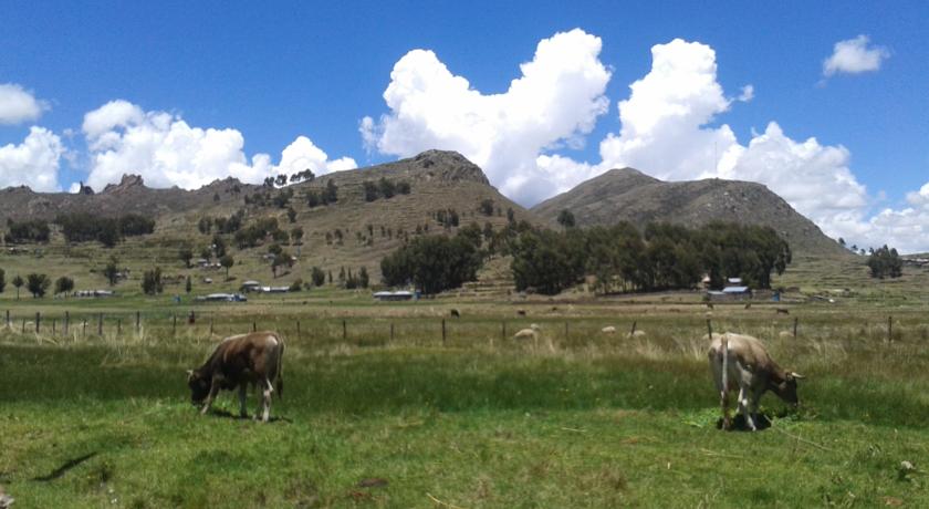 Imagen de los exteriores del Hostal Campestre Casa Blanca. Foto 6