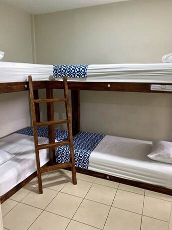 Imagen de la habitación del Hostal Casa Huasteca. Foto 20