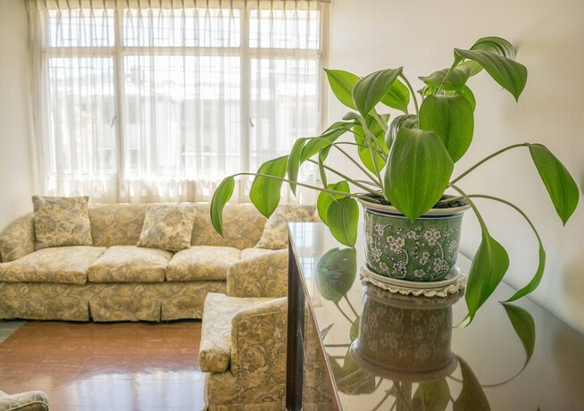 Imagen de los interiores del Hostal Casa Norte. Foto 38