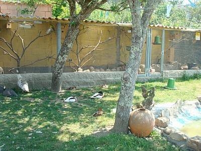 Imagen general del Hostal Casa Susa. Foto 9