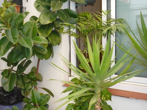 Imagen general del Hostal Conde Guell. Foto 6