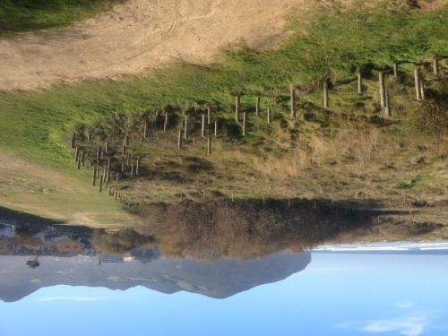 Imagen general del Hostal De Berria. Foto 6