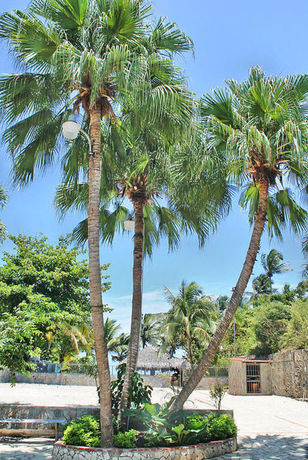 Imagen de los exteriores del Hostal D'franchecis. Foto 9