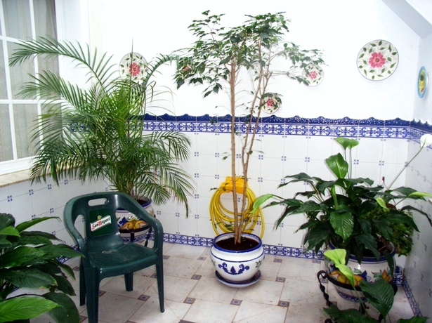 Imagen de los exteriores del Hostal Dianes. Foto 7