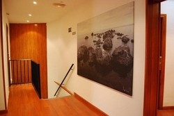 Imagen de los interiores del Hostal Don Pedro, Madrid. Foto 9