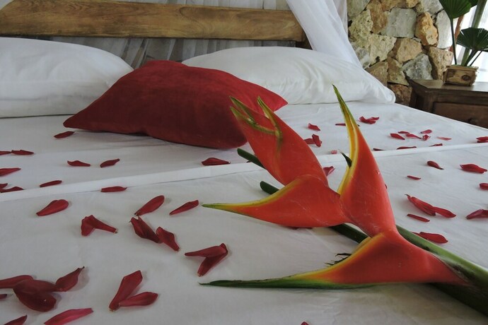 Imagen de la habitación del Hostal Eco Yuluka. Foto 30