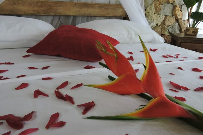 Imagen de la habitación del Hostal Eco Yuluka. Foto 33